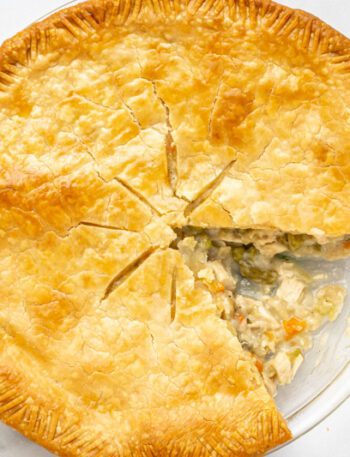 best chicken pot pie with top crust and chicken filling