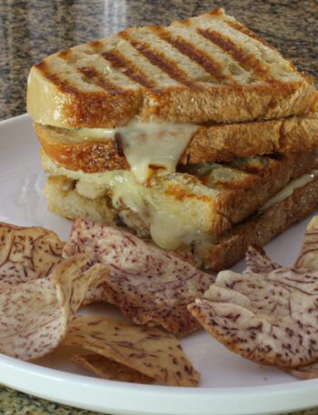 A grilled mushroom and fontina cheese sandwich on a plate with chips.