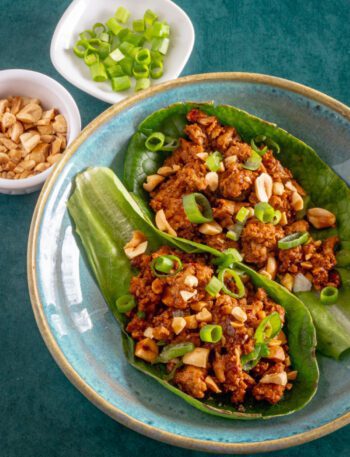 turkey lettuce wraps with green onions and peanuts
