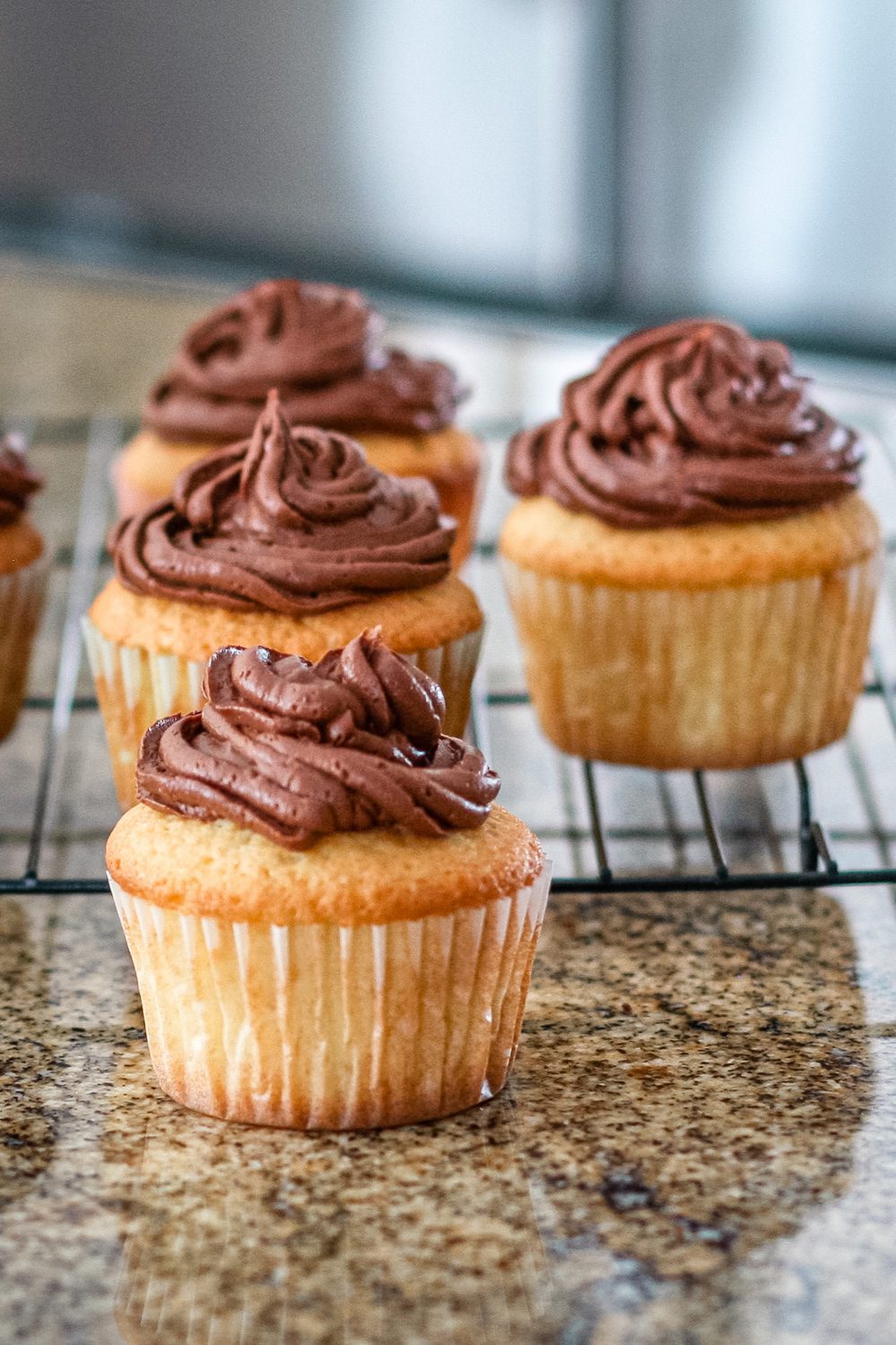 moist vanilla cupcakes on a rack with chocolate frosting